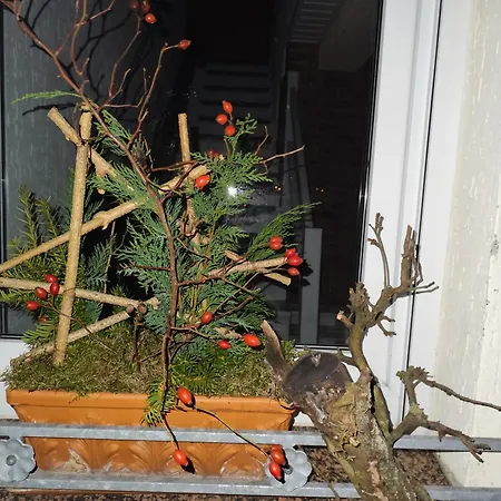 Apartment Im Grünen