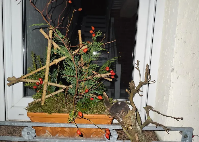 Apartment Im Gruenen